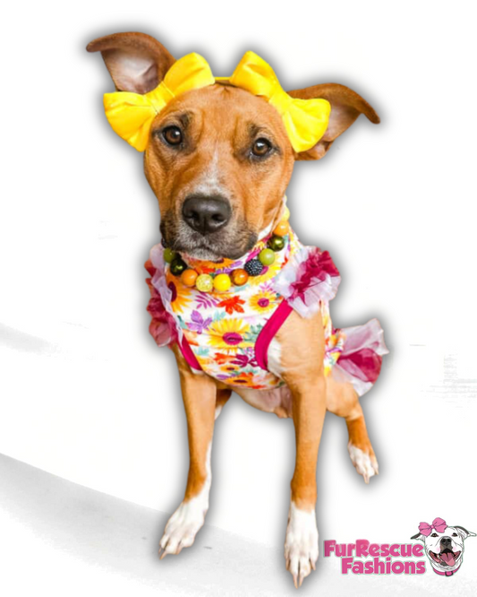 Autumn Flora with Tulle Accent