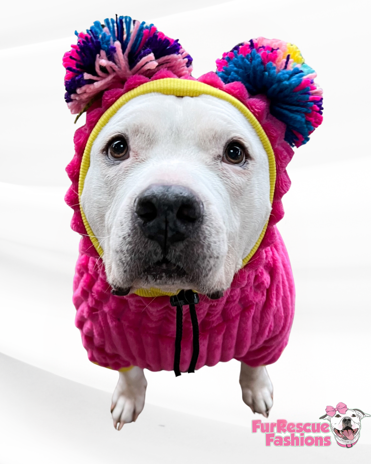 Fuchsia Dog Sweater with Long Pompom Snood