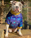 8 Starry Nights - PAWjama with Gold Neck & Trim/Sleeves