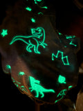 Glowing Dinosaurs Fleece Raglan