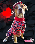 Warped Love - PAWjama with Red Neck & Trim/Sleeves