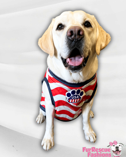 USA Dog Jersey or Ruffle Dress – Soccer Cup 2026 | Custom Pet Soccer Shirt ⚽️🐾