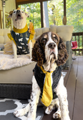 Fancy Sequins Tux Dog Vest with Tie