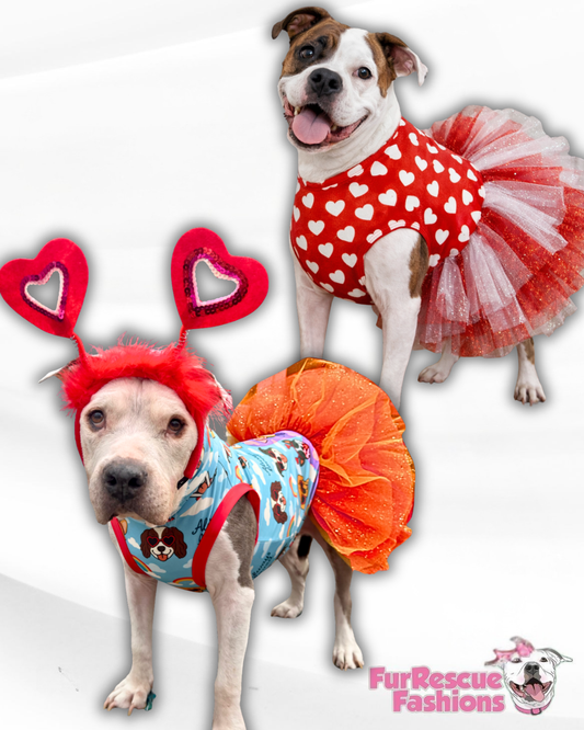 My Fur-Ever Valentine Dog Tutu Dress (Available in any pattern from this preorder)