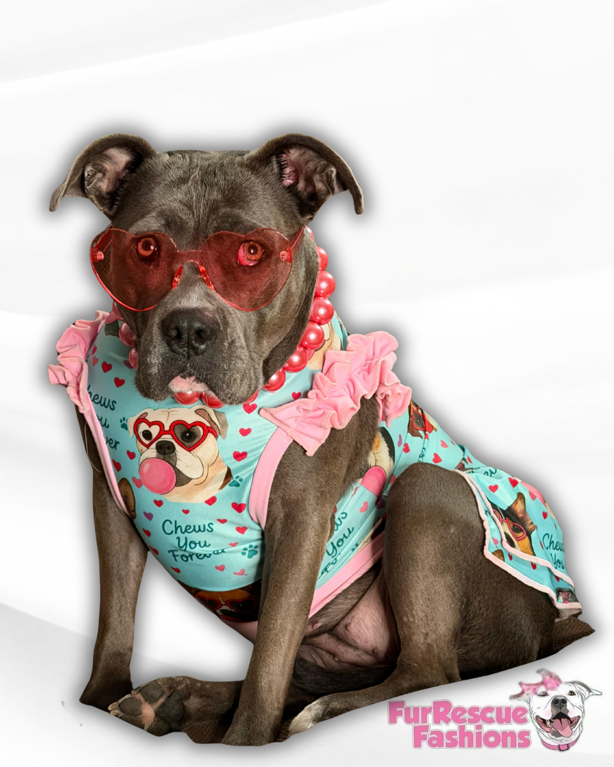 My Fur-Ever Valentine Dog Dress With Ruffle / With Sleeves or Sleeveless (Available in any pattern)