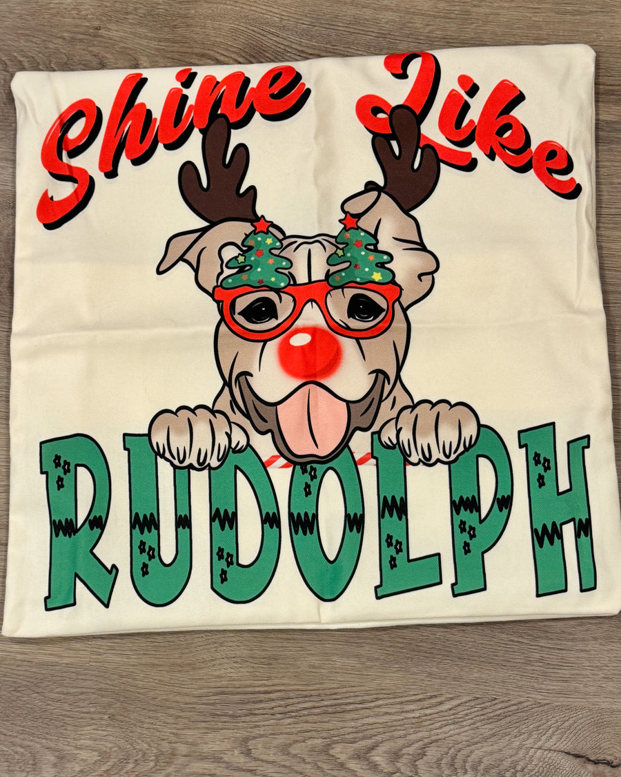 Shine Like Rudolph Outdoor/Indoor Water Proof Throw Pillow Cover 20 x 20