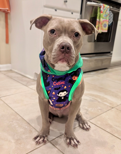 Cryptid Cuties - Dog Pajama with Orange or Green Neck & Trim/Sleeves