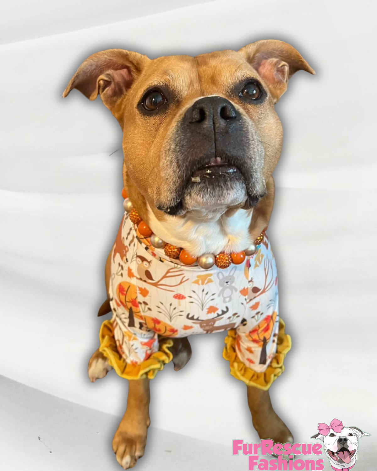 2026 Fall & Halloween Dog Shirt With Ruffles (AVAILABLE IN ANY PRE-ORDER PATTERN)