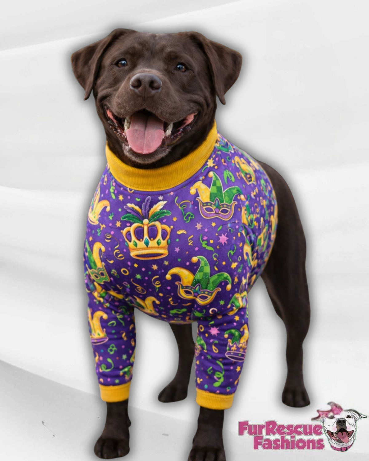 Mardi Gras Royal Jester Dog Pajama with Gold Neck & Trim/Sleeves