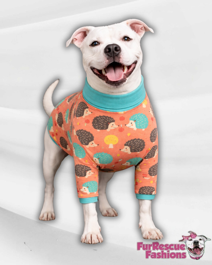 Hedgehog Hideaway Dog Pajama with Aqua Neck & Trim/Sleeves