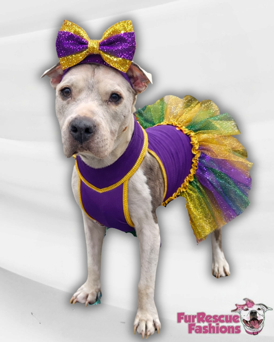 Queen of the Krewe Dog Tutu Dress (Available in any pattern from this preorder)