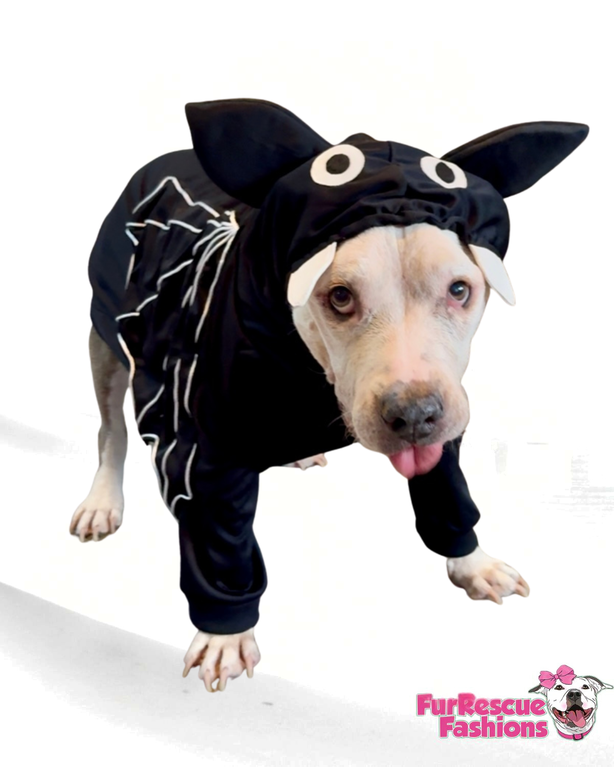 Lil’ Batty Fangster Dog Hoodie