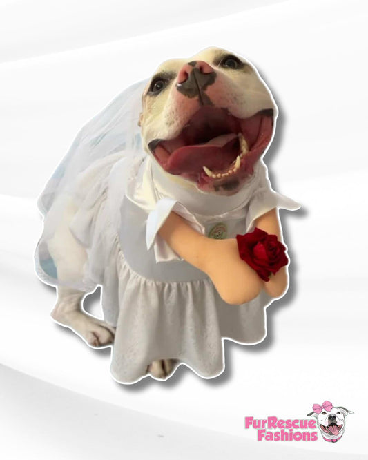 Here Comes the Bride…zilla Dog Costume