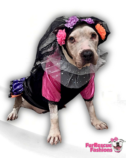 Señorita Catrina Dog Costume