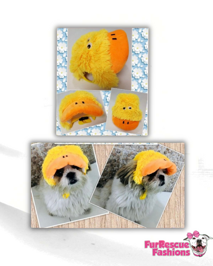 Lucky Ducky Dog Hat