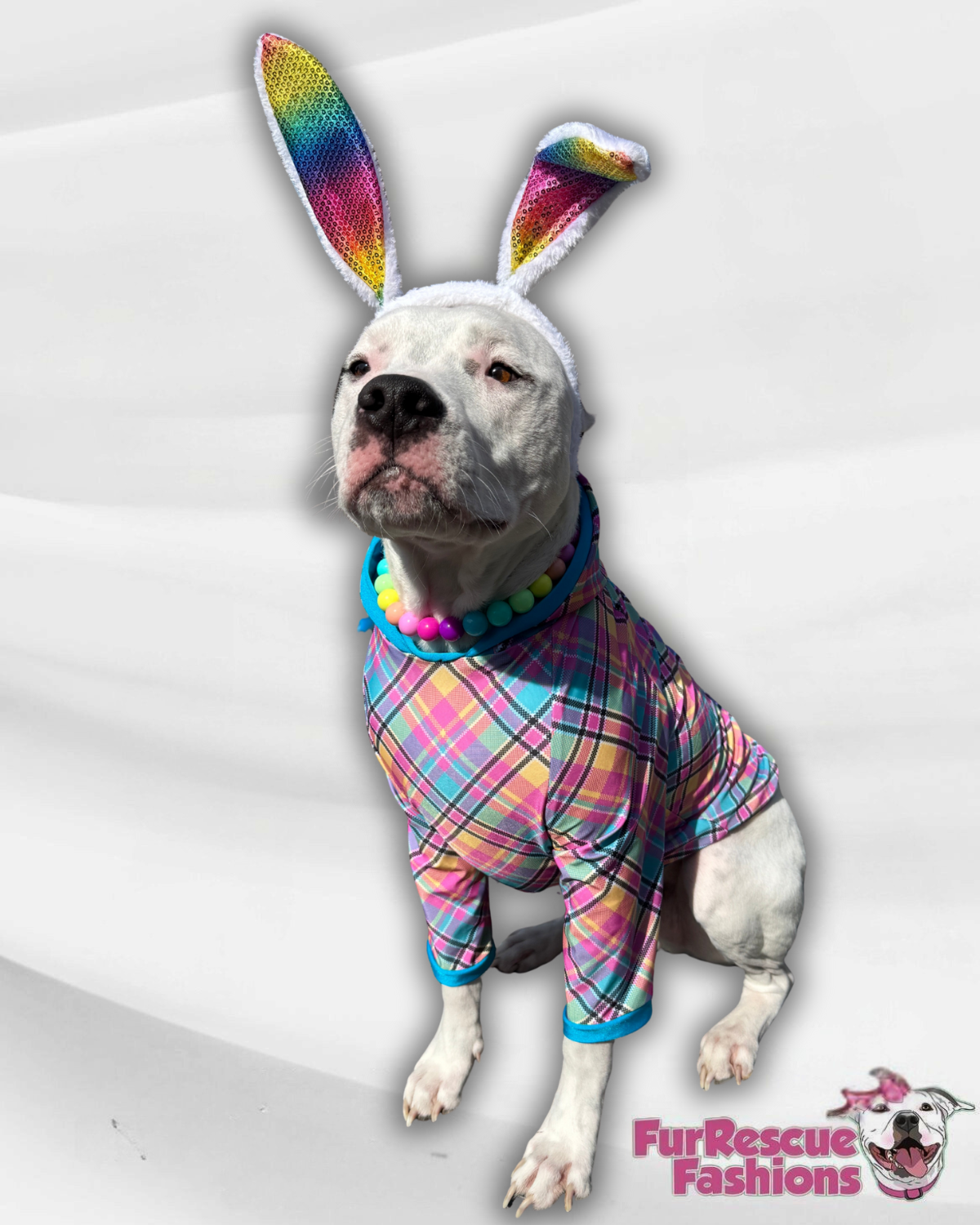 Easter Plaid Dog Pajama with Aqua Neck & Trim/Sleeves