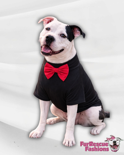 Sweet Love Dog Shirt With Bow tie & Heart