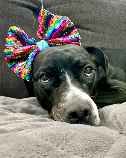 Rainbow Sequins Dog Bow