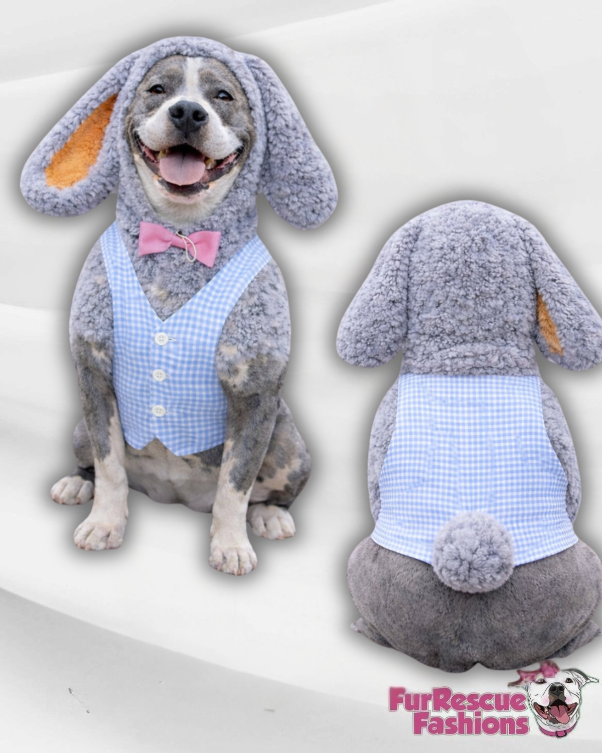 Hoppy Bunny with Picnic Gingham Vest & Bowtie