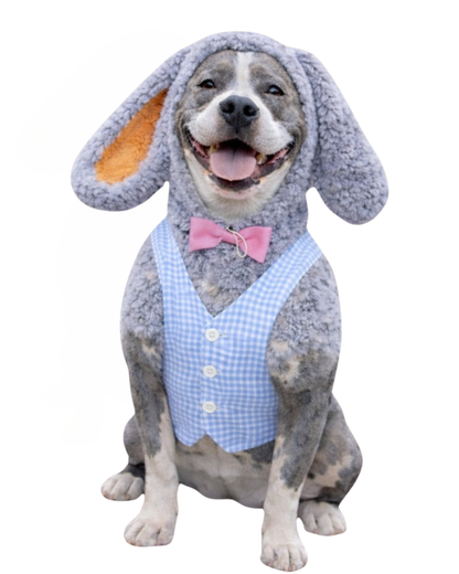 Hoppy Bunny with Picnic Gingham Vest & Bowtie