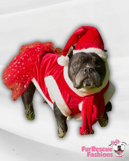 Santa & Pompoms Sleeveless Dog Dress