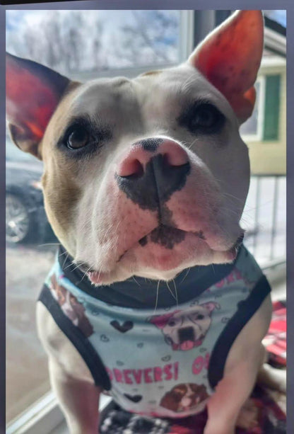 Our OGs Our Forevers (Mint Green) - Dog Pajama with Pink Neck & Trim/Sleeves