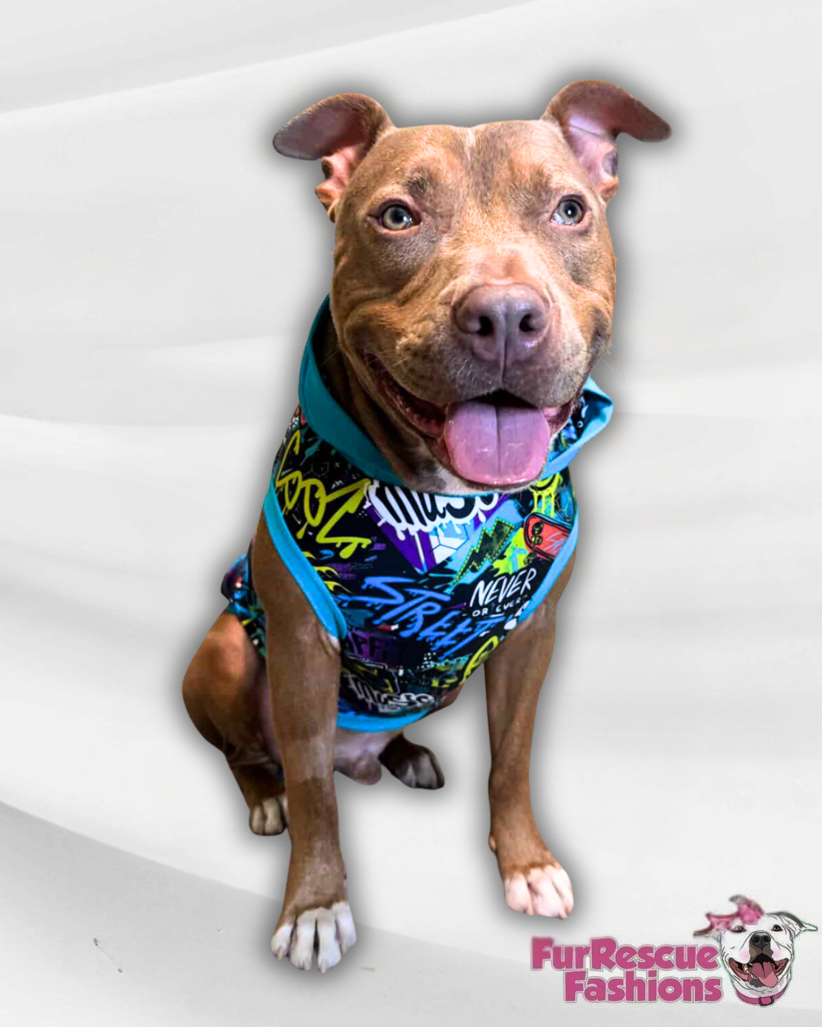 Street Paws Graffiti Dog Pajama with Aqua Neck & Trim/Sleeves