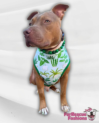 Happy Houseplants Dog Pajama with Green Neck & Trim/Sleeves