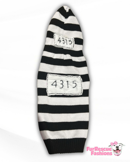 Inmate 4-Paw Knit Dog Vest