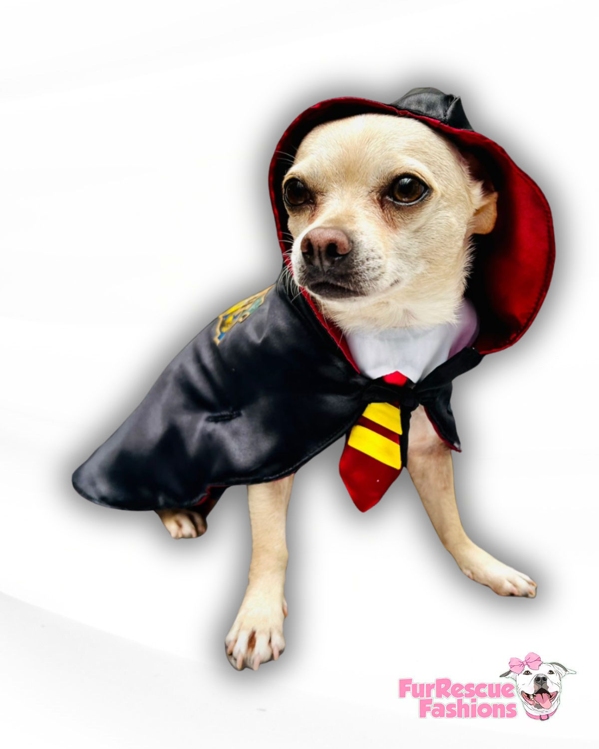 Wizard Pup Costume
