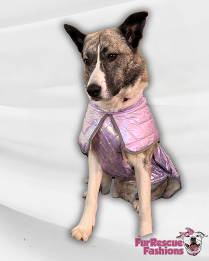Radiant Paws Weatherproof Jacket Cape