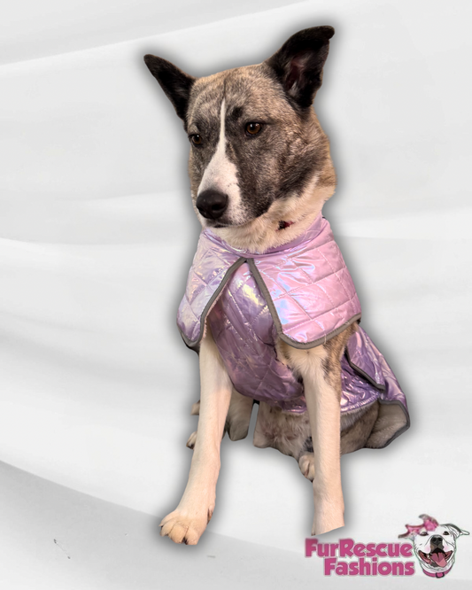 Radiant Paws Weatherproof Jacket Cape