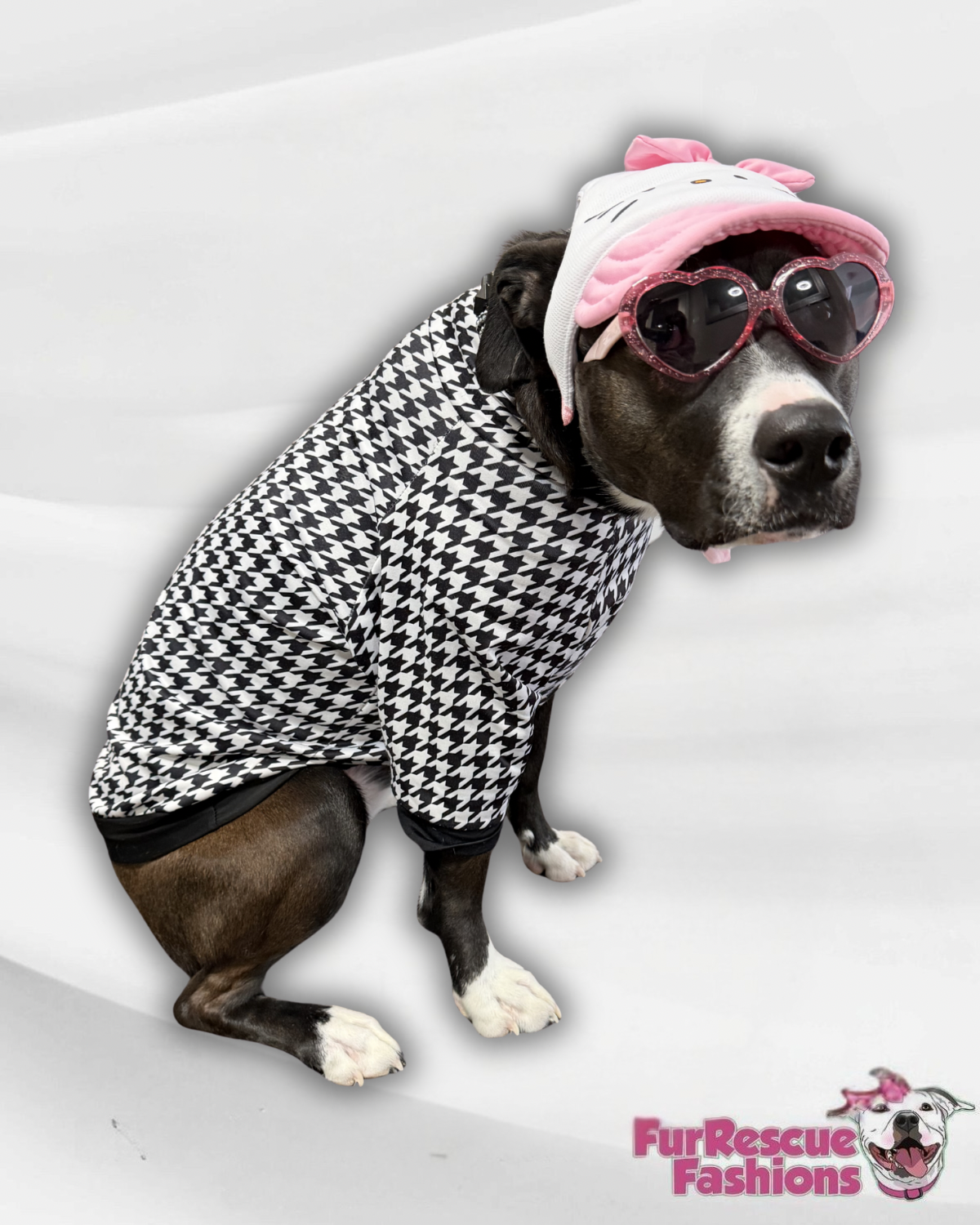 Hellou Kitty Dog Hat