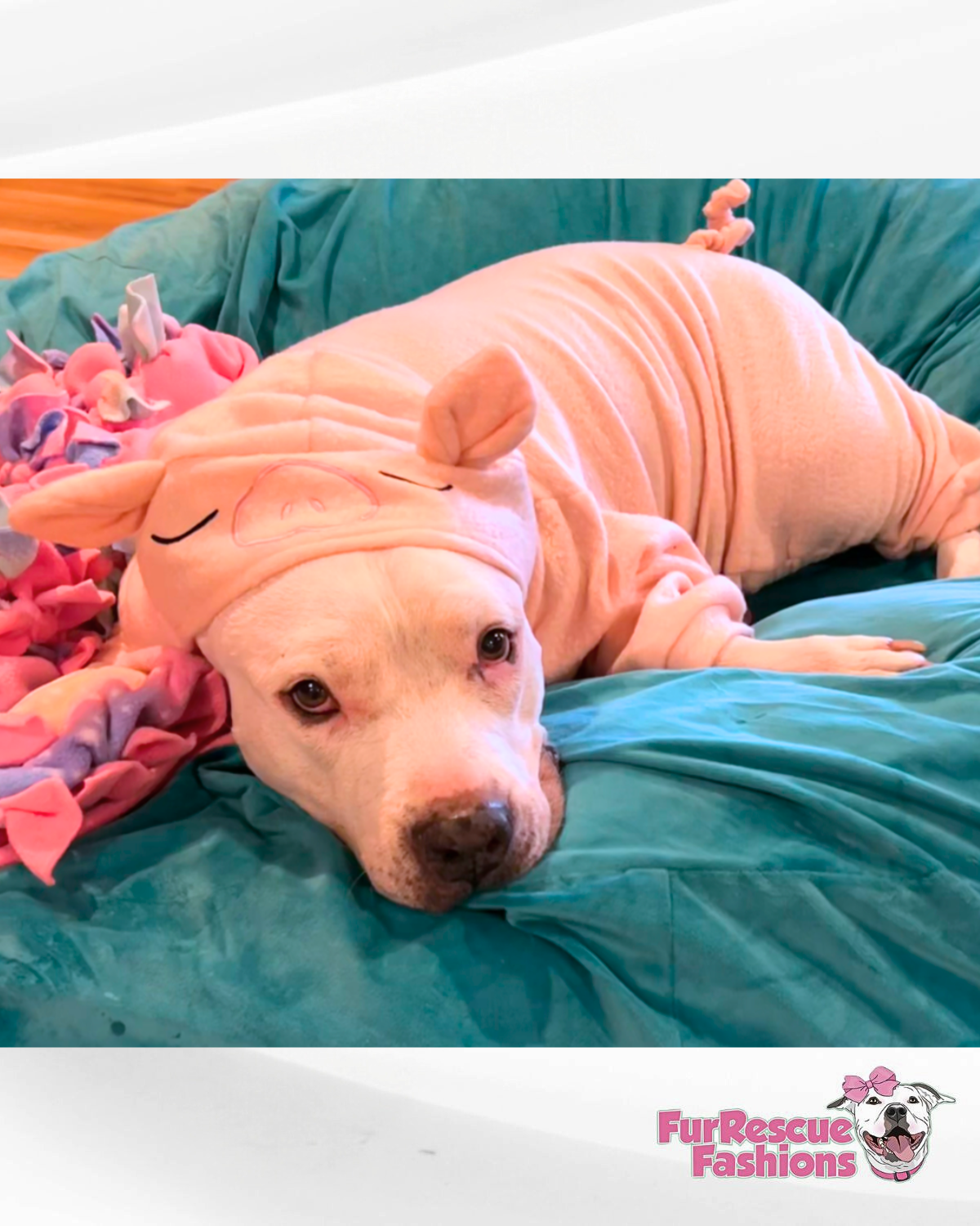Cozy Piggie Dog Pawjama Costume