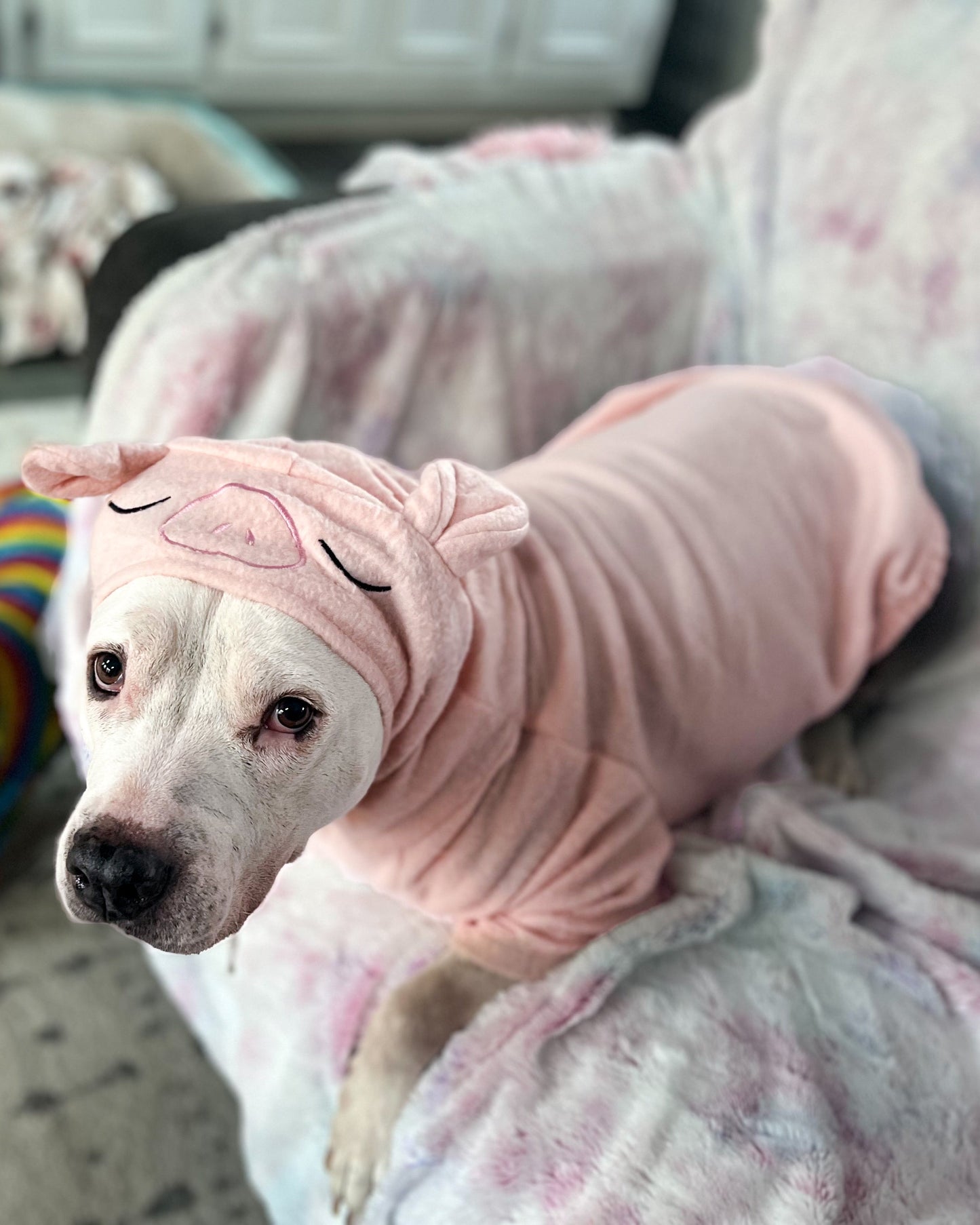 Cozy Piggie Dog Pawjama Costume