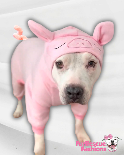 Cozy Piggie Dog Pawjama Costume