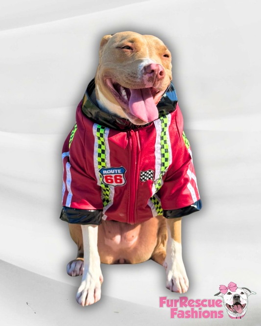 Faux Leather Racer Dog Jacket 🏁