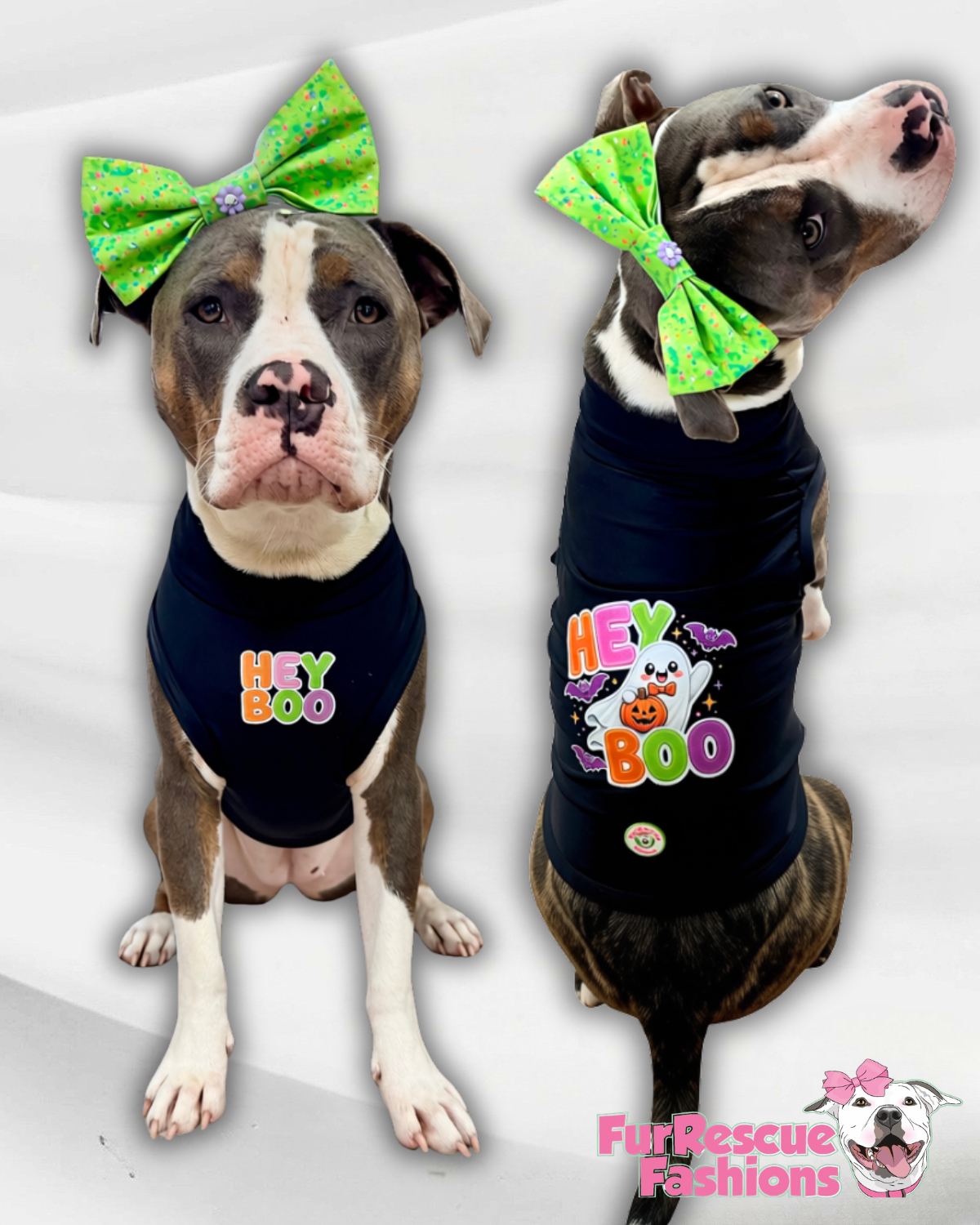Hey Boo Dog Shirt