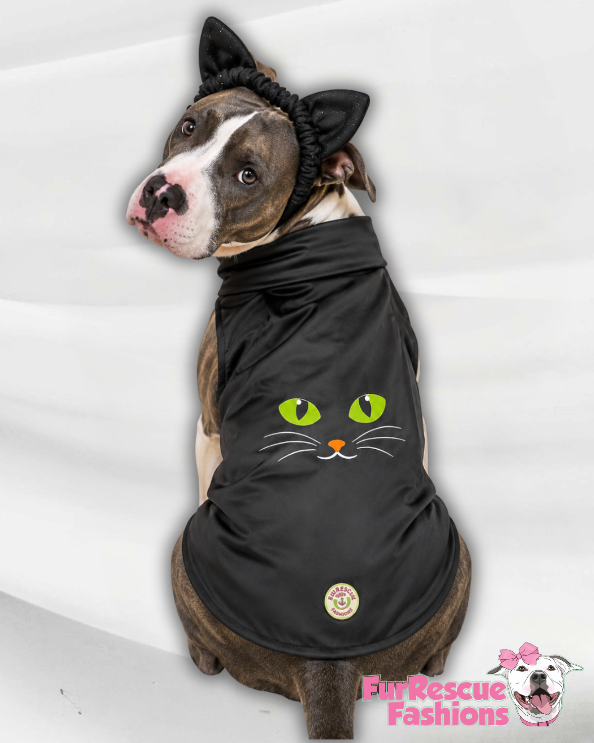 Midnight Kitty Dog Shirt