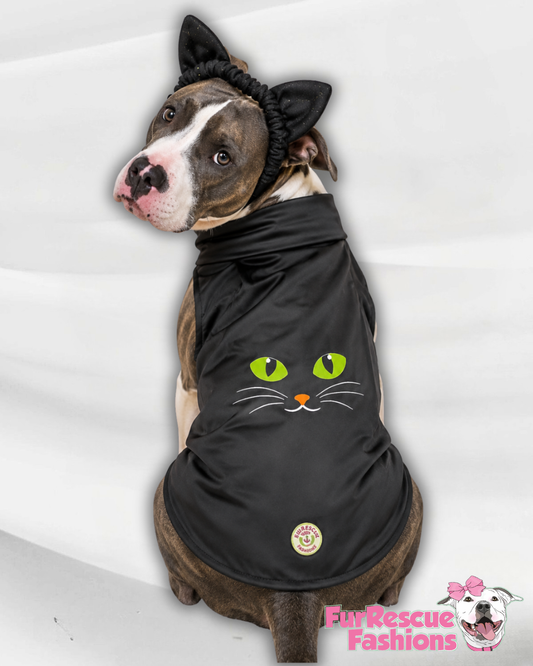 Midnight Kitty Dog Shirt