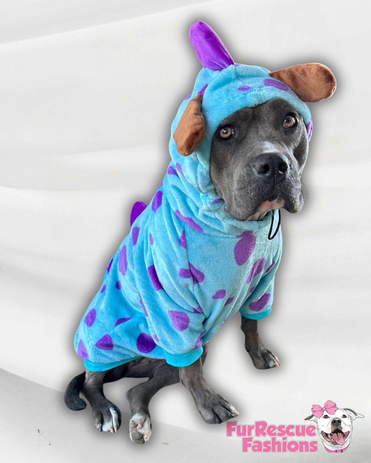 Spotted Monster Cozy Dog Outfit