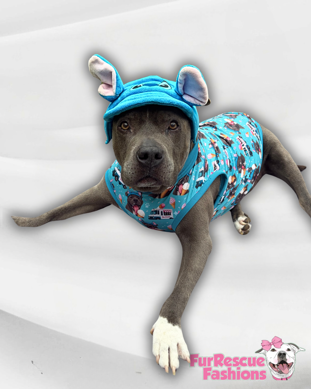 Stitch-Mutt Dog Hat