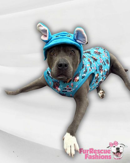 Stitch-Mutt Dog Hat