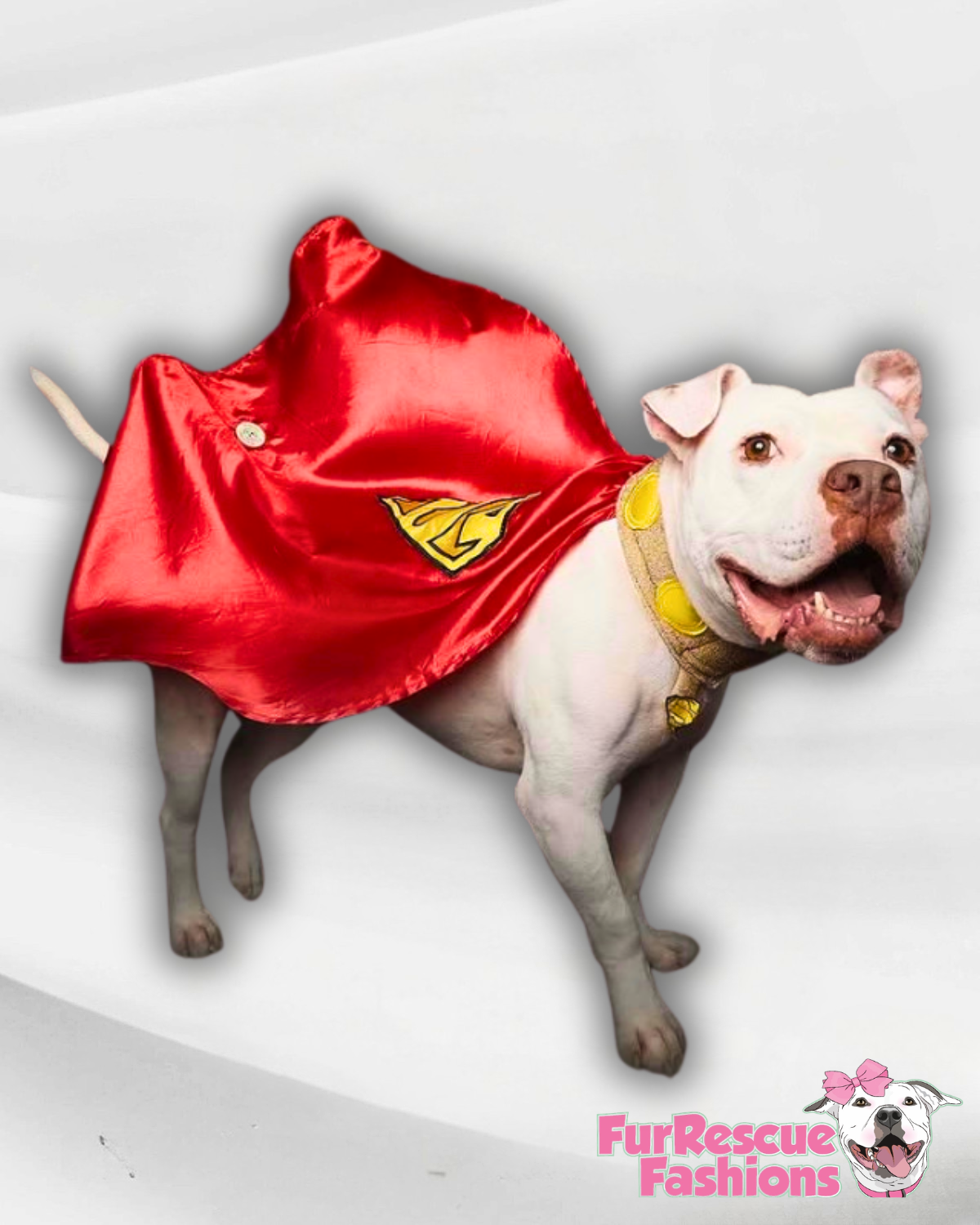 Krypto’s Superpup Cape Dog Costume