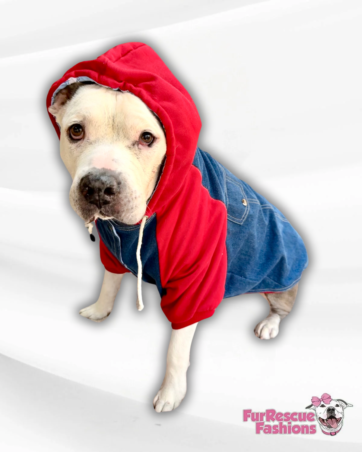 Denim Dog Jacket with Red Hoodie & Sleeves