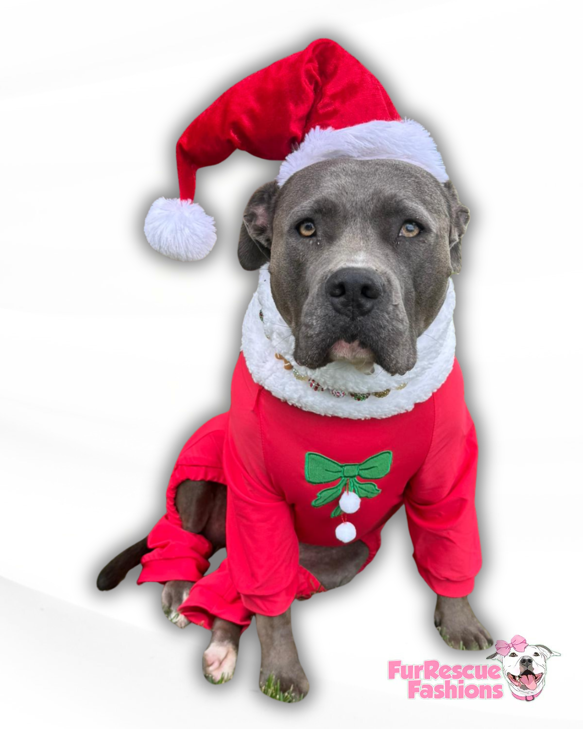 Santa’s List PAWjamas with Swappable Patches (Nice-Naughty-I Tried)