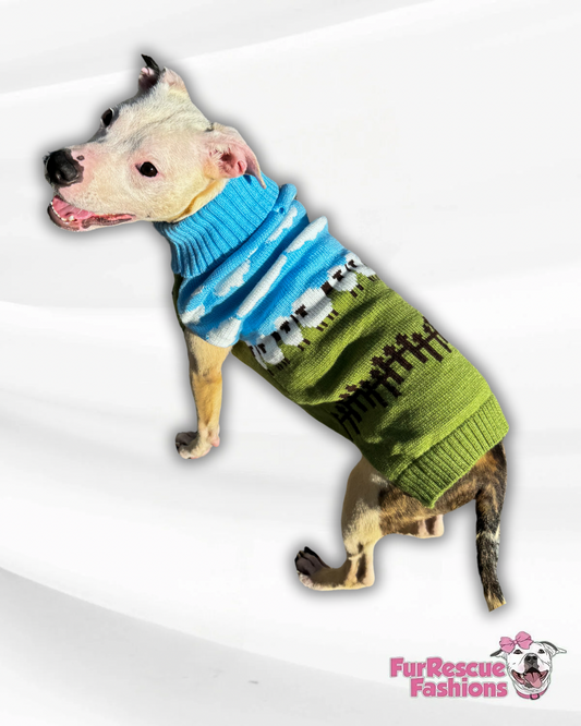 Sheepish Snuggle Knitted Dog Vest