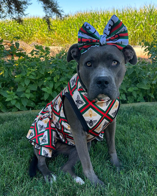 Poochi UV50 Dog Dress With Ruffle