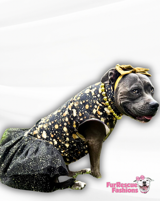 2025 Get Merry Dog Tutu Dress (Available in any pattern from this preorder)