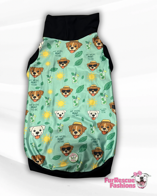 Mint To Be Dog Pajama with Green Trim